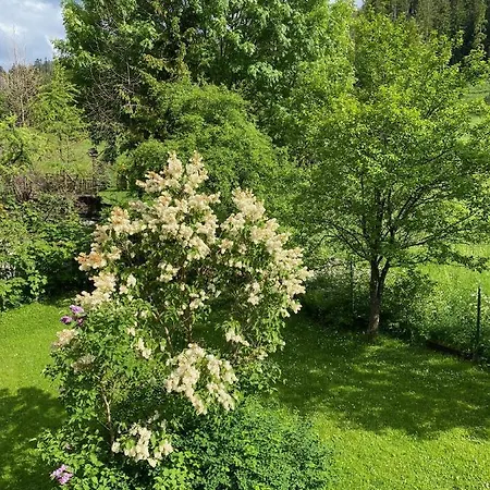 U Zosi 2 Lejlighed *